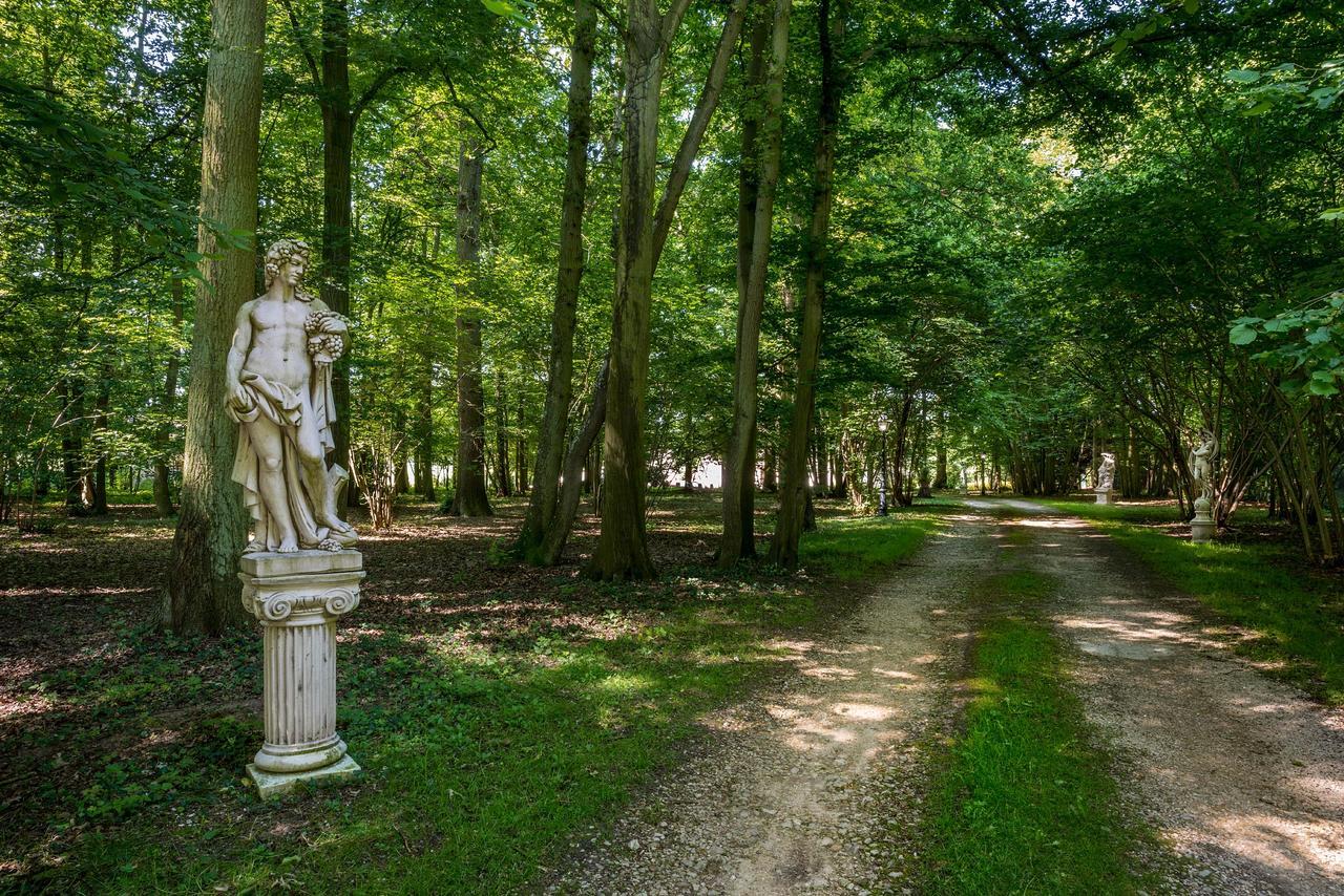 Bed and Breakfast Domaine Du Bois Des Anges Germigny-l'Eveque Экстерьер фото